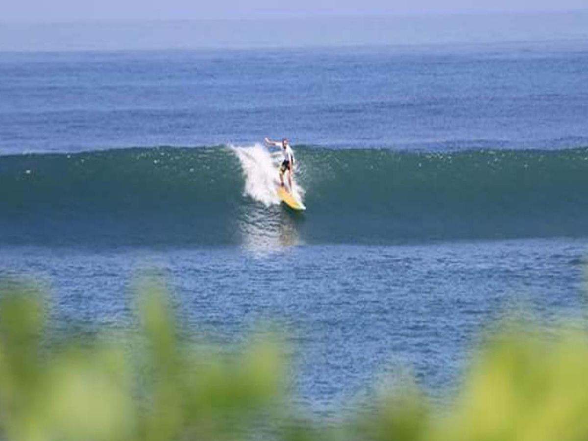 The Nest Canggu 외부 사진